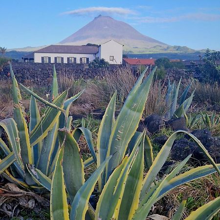 Solar Dos Limas Villa Criacao Velha ภายนอก รูปภาพ